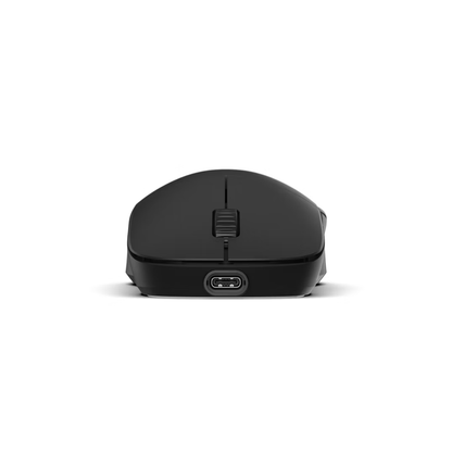 Endgame Gear XM2w 4k Optical Wireless Gaming Mouse - Black (EGG-XM2W-4K-BLK)